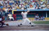 Killebrew swings (Source: Metrodome souvenir book, © 1982 MSP Publications, Inc.)